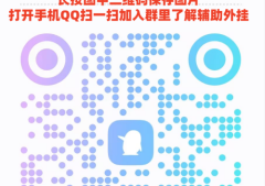 3分钟讲解!“白金岛放炮罚辅助器”（辅助插件下载教程）